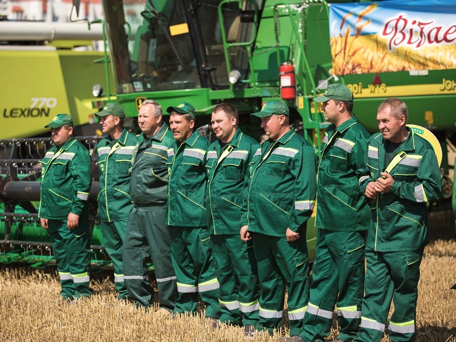 Зерновые поля агрокомбината