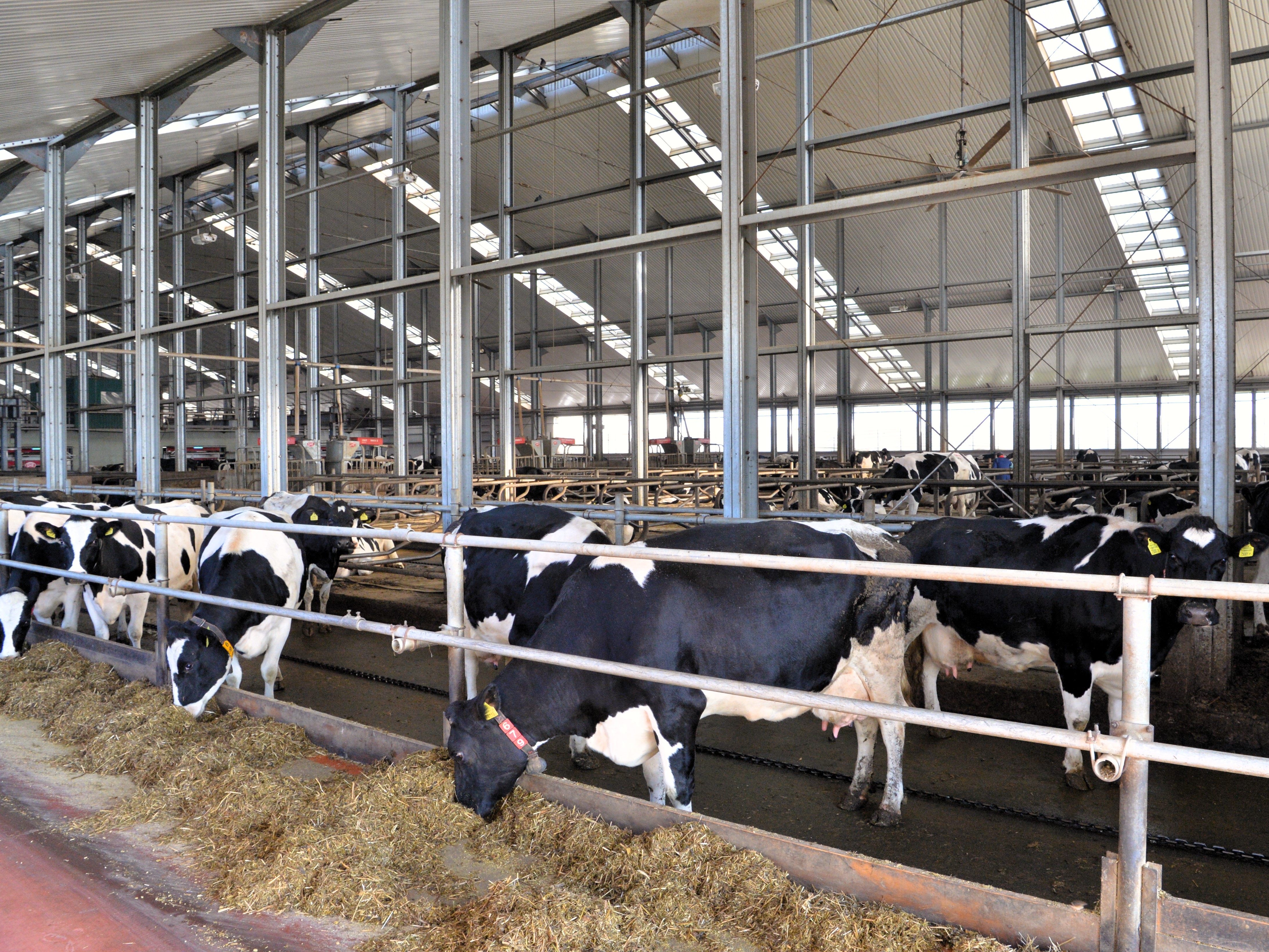 Автоматизированная система содержания