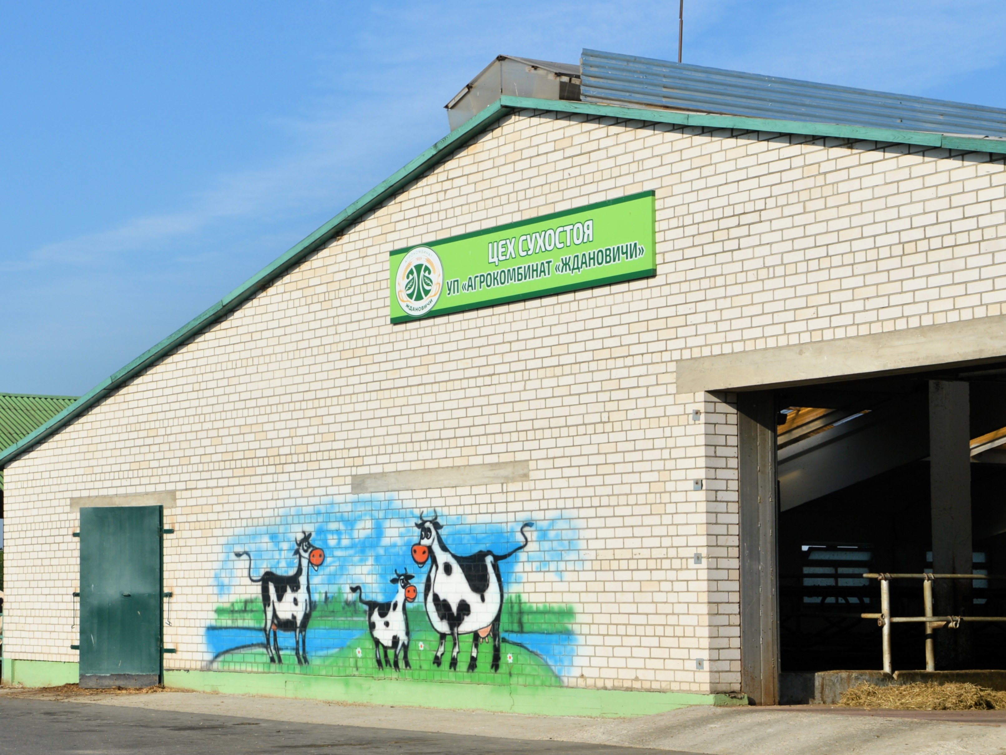 Дойное стадо агрокомбината